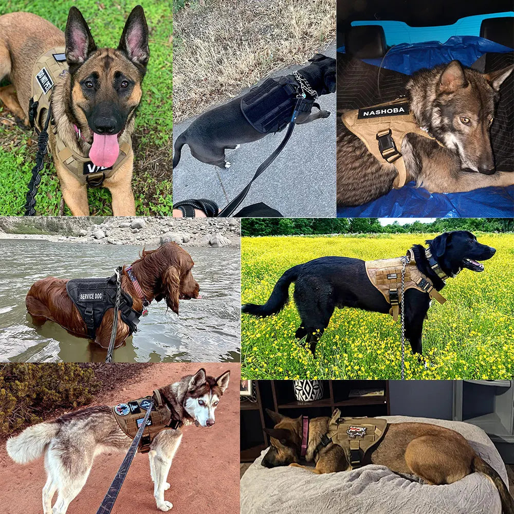 Coleira militar de peitoral para cão grande